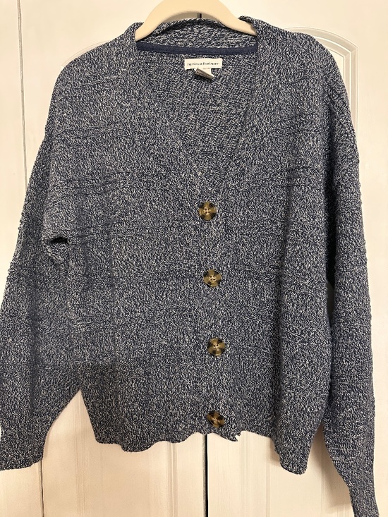 cupcakes & cashmere Sweaters - Cupcakes and Cashmere button front blue and white cardigan